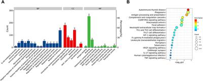 Proteomics study the potential targets for Rifampicin-resistant spinal tuberculosis